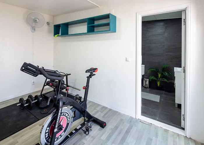 Silver Coast Tulip アトウギア・ダ・バレイア